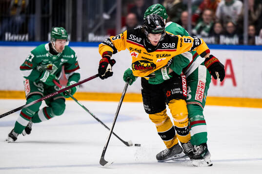 Rögles Isac Solberg och Luleås Marcus Hardegård
