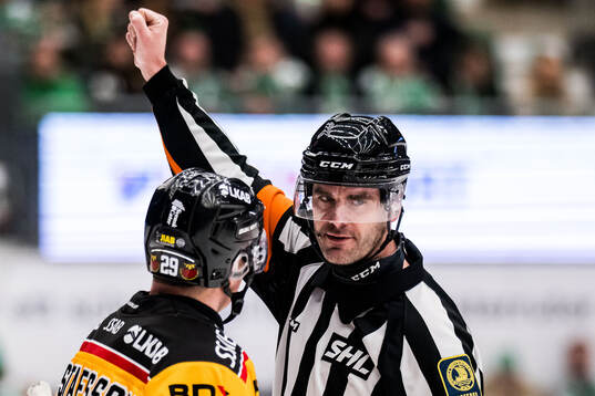 Domare Richard Magnusson