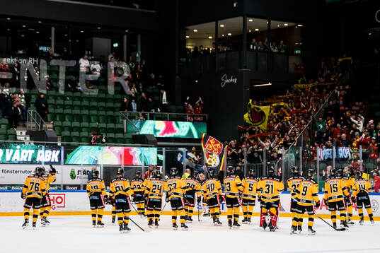 Luleå spelare