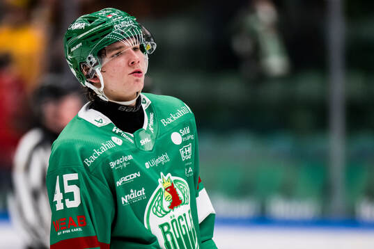 Rögles Gregor Biber deppar
