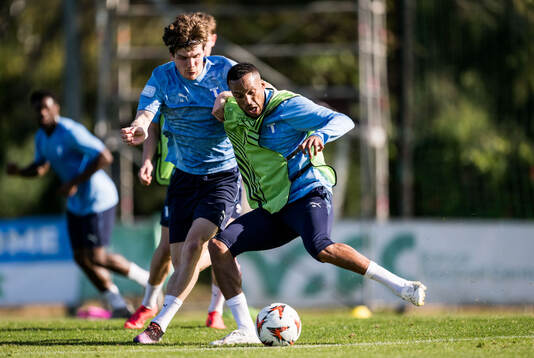 Malmö FFs Oliver Berg och Martin Olsson