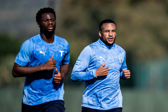 Emmanuel Ekong och Martin Olsson