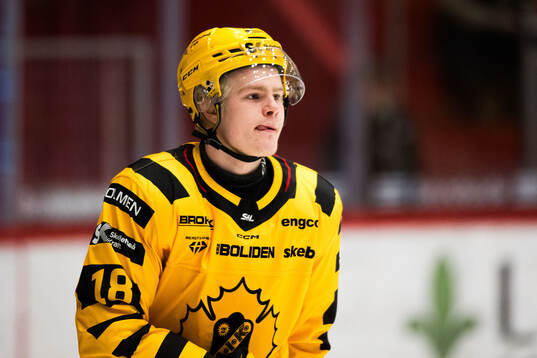 Skellefteås Martin Johnsen
