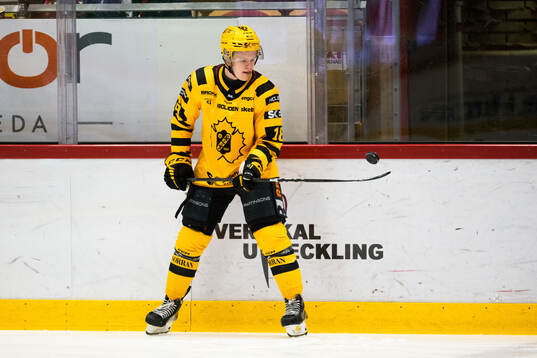 Skellefteås Martin Johnsen