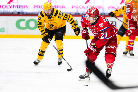 Timrås Filip Hållander