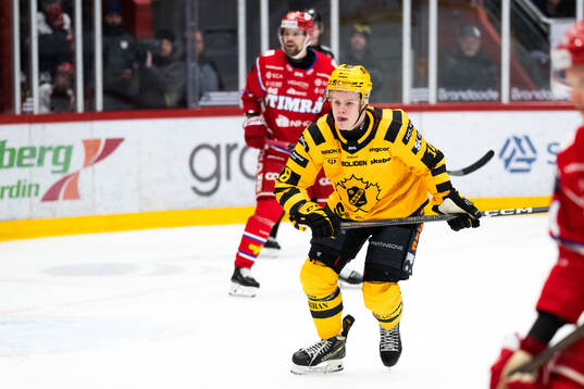 Skellefteås Martin Johnsen