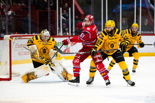 Bläddra bland fler bilder av Ishockey, SHL, Timrå - Skellefteå