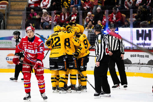 Skellefteås Michael Brandsegg-Nygård jublar