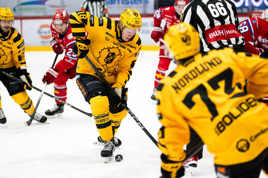 Skellefteås Martin Johnsen