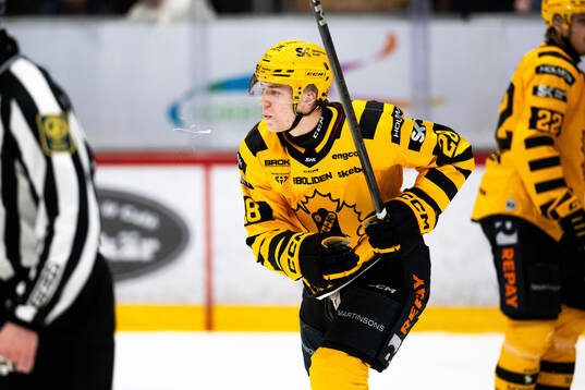 Skellefteås Michael Brandsegg-Nygård