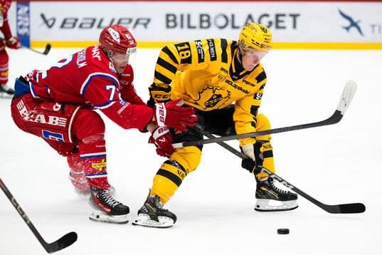 Timrås Erik Walli Walterholm och Skellefteås Martin
