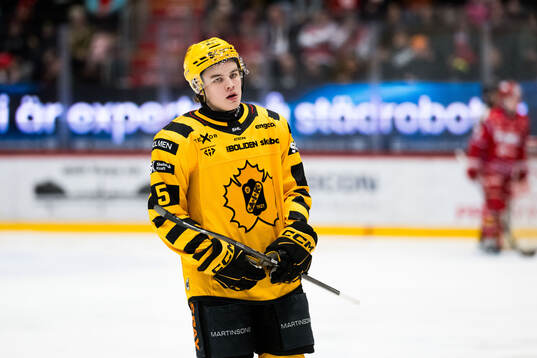 Skellefteås Axel Sandin Pellikka