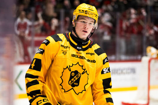 Skellefteås Rasmus Bergqvist deppar