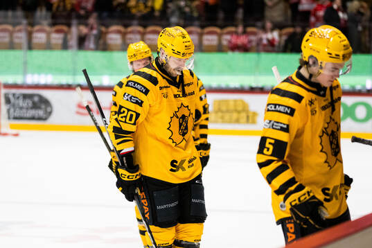 Skellefteås Marcus Eriksson deppar