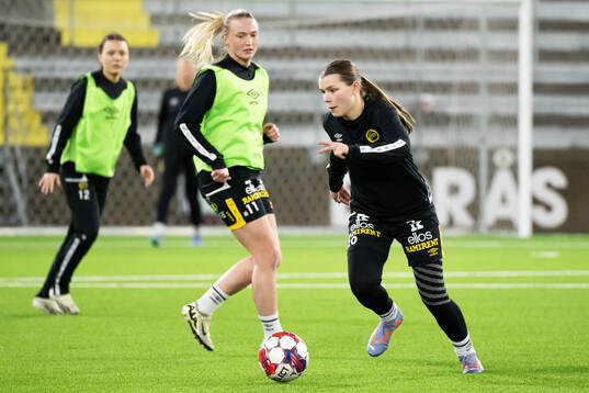 Elin Flakberg