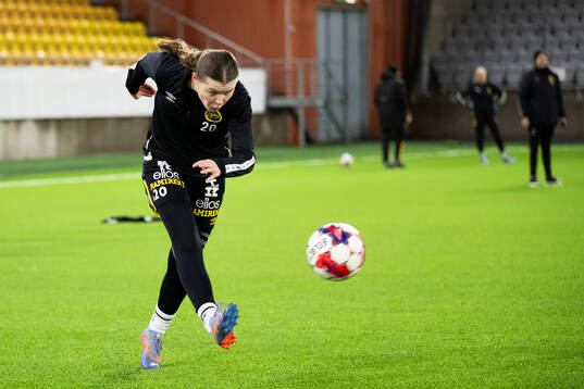 Elin Flakberg