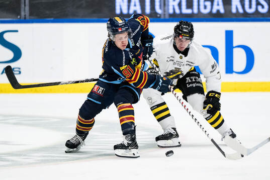 Djurgårdens Tyler Kelleher och AIKs Filip Windlert