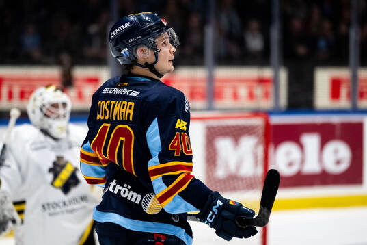 Djurgårdens Arvid Costmar