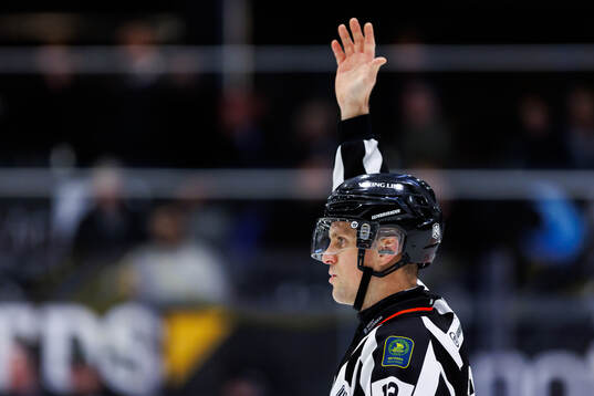 Domare Stefan Leijonklo