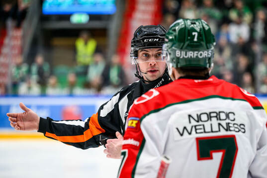 Domare Johan Wedin och Frölundas Henrik Tömmernes