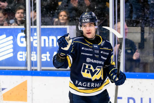 HV71s Radan Lenc jublar