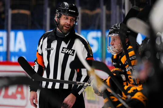 Domare Marcus Linde och Skellefteås Jonathan Pudas