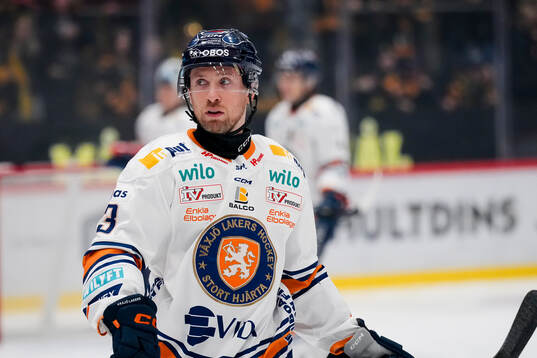 Växjös Dylan McLaughlin deppar