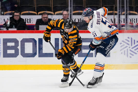 Skellefteås Jonathan Johnson och Växjös Emil Sylvegård