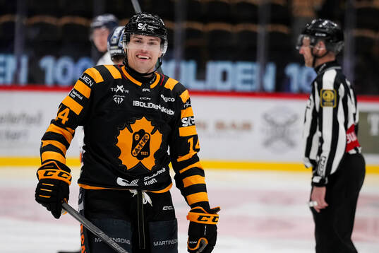 Skellefteås Andreas Johnson jublar