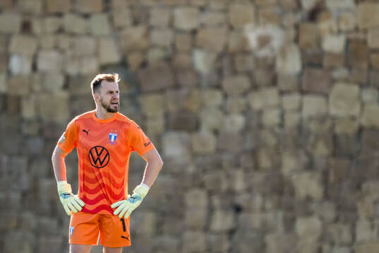 Goalkeeper Ricardo Friedrich of Malmö FF