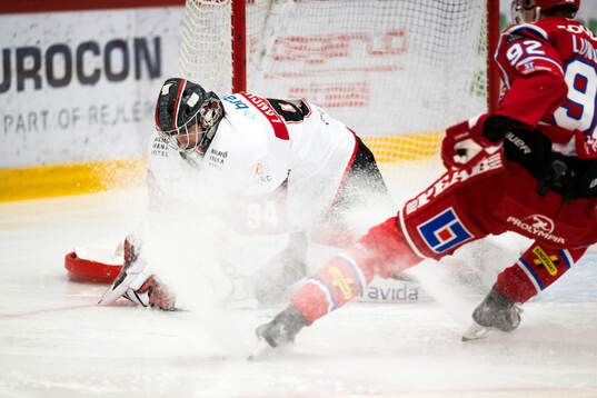 Malmö Redhawks målvakt Marek Langhamer