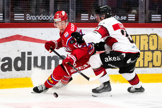 Timrås Linus Eriksson och Malmö Redhawks Lassi Thomson