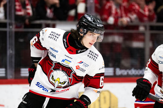 Malmö Redhawks Dominik Badinka