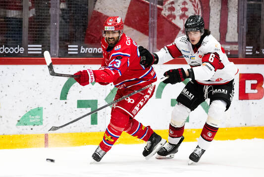 Timrås Jeremy Boyce-Rotevall och Malmö Redhawks Dominik