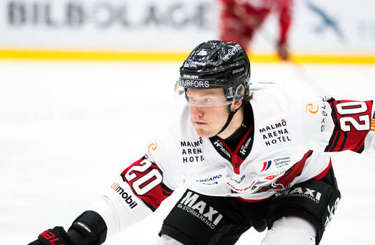 Malmö Redhawks Thomas Berg Paulsen