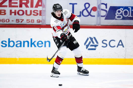 Malmö Redhawks Dominik Badinka