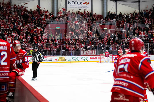 Timråsupportrarna jublar