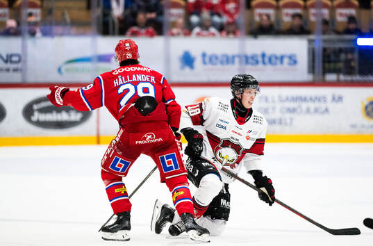 Timrås Filip Hållander och Malmö Redhawks William von