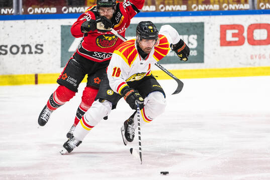 Brynäs Anton Rödin