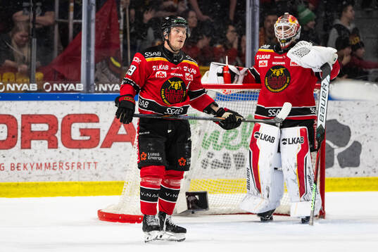 Luleås Erik Gustafsson och målvakt Matteus Ward deppar
