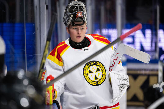 Brynäs målvakt Ludvig Persson