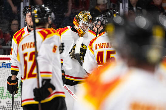 Brynäs målvakt Erik Källgren jublar med lagkamrater
