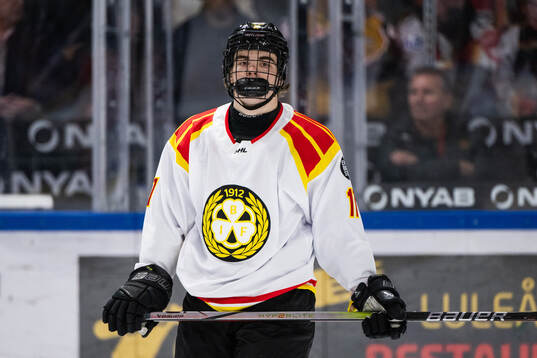 Brynäs Michal Svrcek