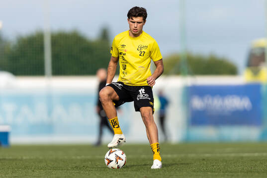 Besfort Zeneli of Elfsborg