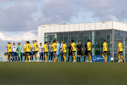 Players of FKS Stal Mielec and of Elfsborg