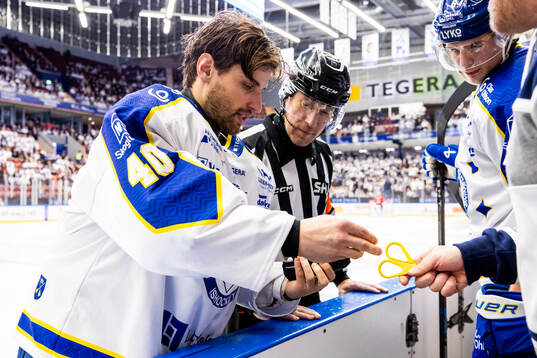 Leksands målvakt Mantas Armalis