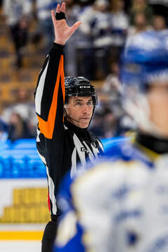 Domare Linus Öhlund