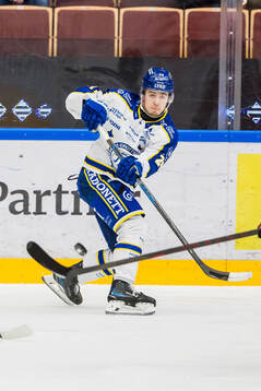 Leksands Arvid Eljas