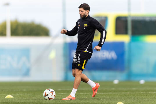 Arber Zeneli of Elfsborg