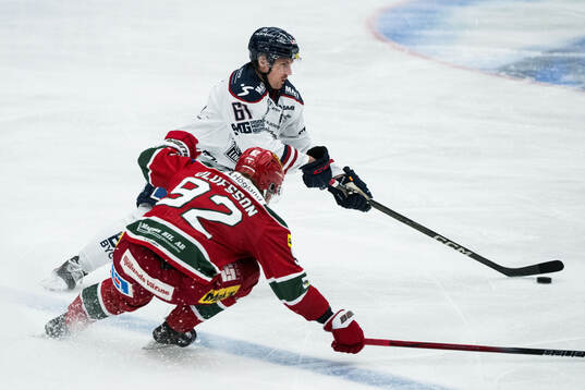 Linköpings Markus Ljungh